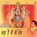 Amrit Hai Maa Ka Naam - Debashish Dasgupta Song Download